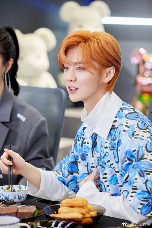吃瓜娱乐圈鹿晗,娱乐圈的瓜田，他的成长与蜕变  第3张